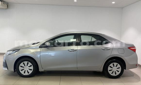 Nunua Ilio tumika Toyota Corolla Fedha Gari ndani ya Maputo nchini Maputo Nunua Ilio tumika Toyota Corolla Fedha Gari ndani ya Maputo nchini Maputo