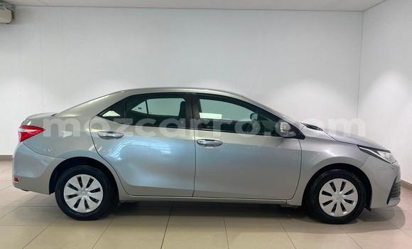 Nunua Ilio tumika Toyota Corolla Fedha Gari ndani ya Maputo nchini Maputo Nunua Ilio tumika Toyota Corolla Fedha Gari ndani ya Maputo nchini Maputo