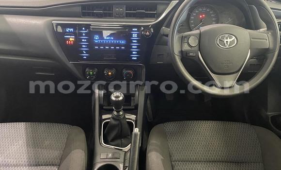 Nunua Ilio tumika Toyota Corolla Fedha Gari ndani ya Maputo nchini Maputo Nunua Ilio tumika Toyota Corolla Fedha Gari ndani ya Maputo nchini Maputo