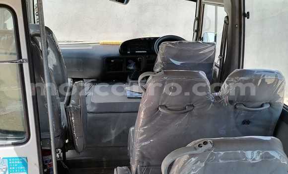 Comprar Usado Toyota Coaster Branco Carro em Maputo em Maputo Comprar Usado Toyota Coaster Branco Carro em Maputo em Maputo