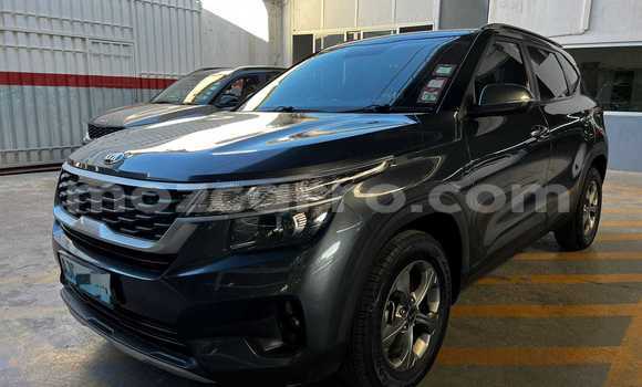 Buy Used Kia Stonic White Car in Maputo in Maputo