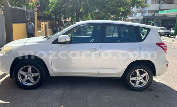 Buy Used Toyota RAV4 White Car in Maputo in Maputo Buy Used Toyota RAV4 White Car in Maputo in Maputo