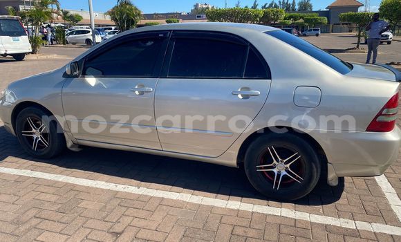 Nunua Ilio tumika Toyota Corolla Fedha Gari ndani ya Maputo nchini Maputo Nunua Ilio tumika Toyota Corolla Fedha Gari ndani ya Maputo nchini Maputo