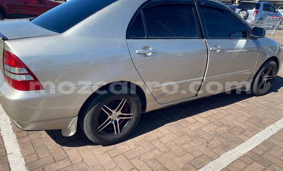 Nunua Ilio tumika Toyota Corolla Fedha Gari ndani ya Maputo nchini Maputo Nunua Ilio tumika Toyota Corolla Fedha Gari ndani ya Maputo nchini Maputo