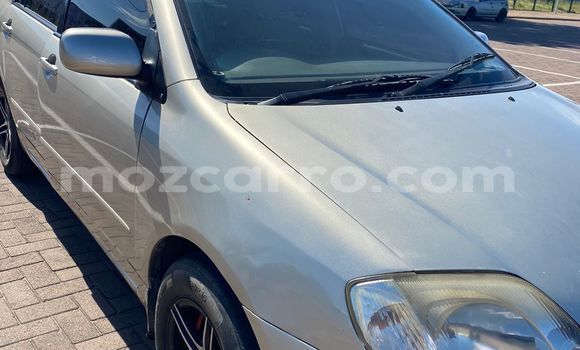 Nunua Ilio tumika Toyota Corolla Fedha Gari ndani ya Maputo nchini Maputo Nunua Ilio tumika Toyota Corolla Fedha Gari ndani ya Maputo nchini Maputo