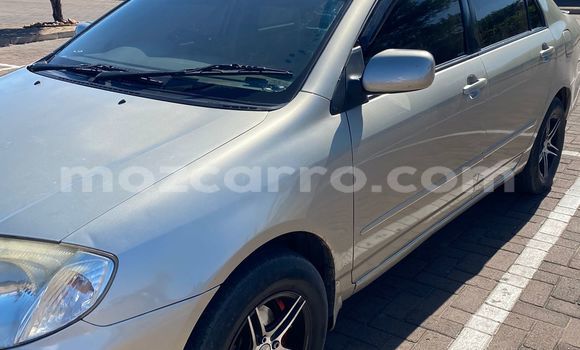 Nunua Ilio tumika Toyota Corolla Fedha Gari ndani ya Maputo nchini Maputo Nunua Ilio tumika Toyota Corolla Fedha Gari ndani ya Maputo nchini Maputo