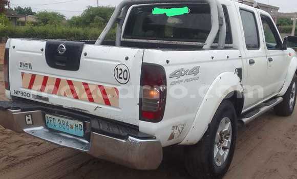 Buy Used Nissan Hardbody White Car in Maputo in Maputo Buy Used Nissan Hardbody White Car in Maputo in Maputo