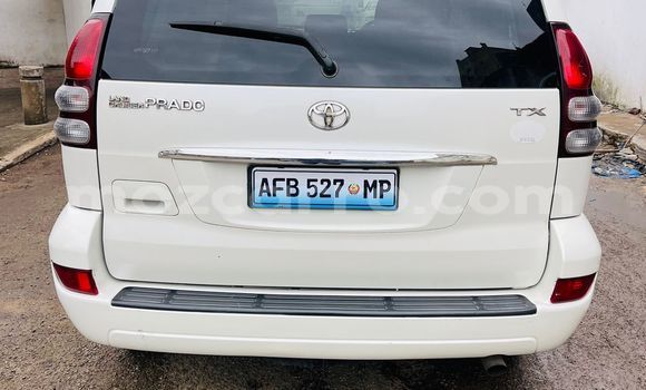 Buy Used Toyota Prado White Car in Maputo in Maputo Buy Used Toyota Prado White Car in Maputo in Maputo