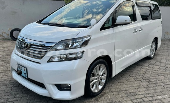 Tenga Tsaru Toyota Vellfire Chena Mota in Maputo in Maputo