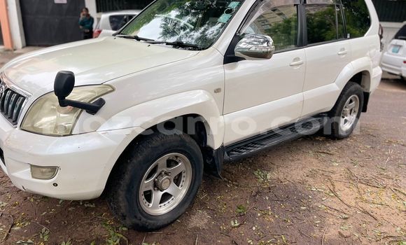 Buy Used Toyota Land Cruiser Prado White Car in Maputo in Maputo Buy Used Toyota Land Cruiser Prado White Car in Maputo in Maputo