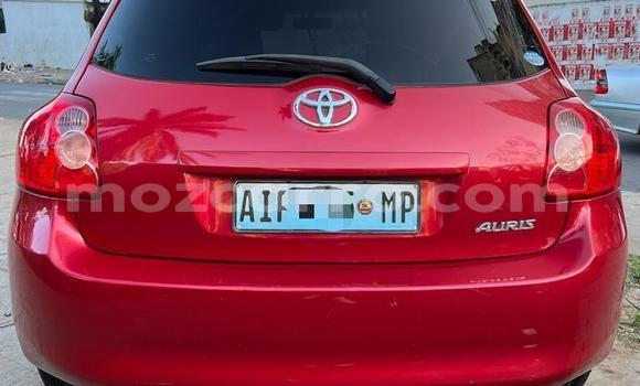 Tenga Tsaru Toyota Auris Tsvuku Mota in Maputo in Maputo Tenga Tsaru Toyota Auris Tsvuku Mota in Maputo in Maputo