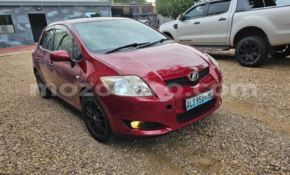 Buy New Toyota Auris Red Car in Maputo in Maputo