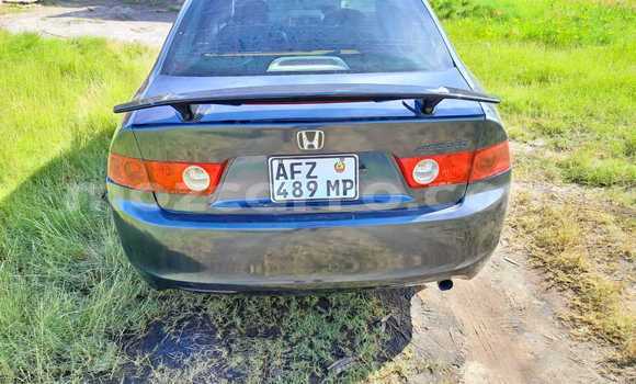 Tenga Tsaru Honda Accord Bhuruu Mota in Maputo in Maputo Tenga Tsaru Honda Accord Bhuruu Mota in Maputo in Maputo