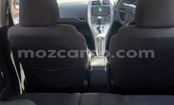 Tenga Tsaru Toyota Auris Chena Mota in Maputo in Maputo Tenga Tsaru Toyota Auris Chena Mota in Maputo in Maputo