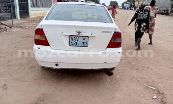 Buy Used Toyota Corolla Other Car in Búzi in Sofala Buy Used Toyota Corolla Other Car in Búzi in Sofala