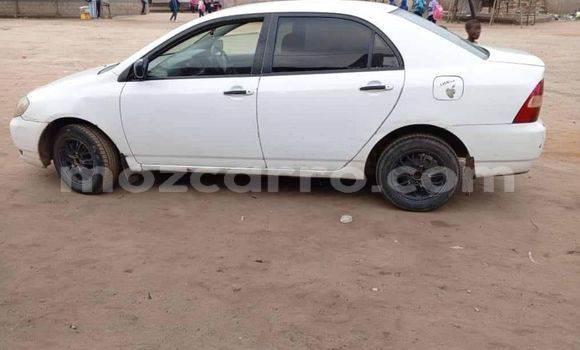 Buy Used Toyota Corolla Other Car in Búzi in Sofala Buy Used Toyota Corolla Other Car in Búzi in Sofala