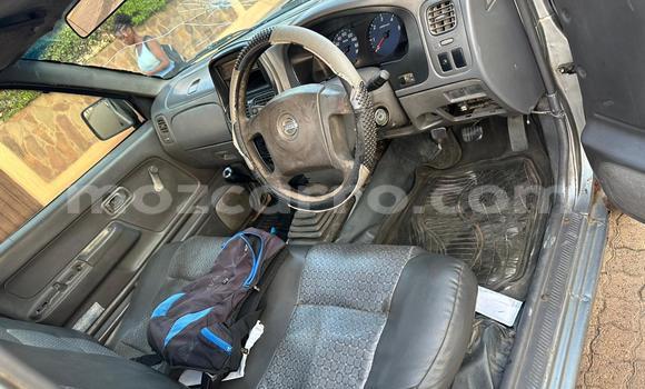 Tenga Tsaru Nissan Hardbody Zvimwe Mota in Maputo in Maputo Tenga Tsaru Nissan Hardbody Zvimwe Mota in Maputo in Maputo