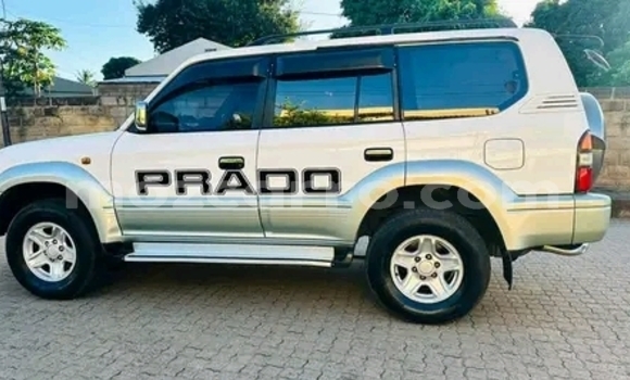 Tenga Tsaru Toyota Land Cruiser Prado Chena Mota in Maputo in Maputo Tenga Tsaru Toyota Land Cruiser Prado Chena Mota in Maputo in Maputo