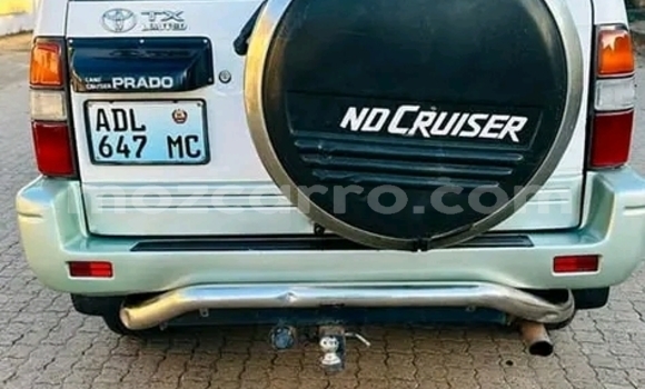 Tenga Tsaru Toyota Land Cruiser Prado Chena Mota in Maputo in Maputo Tenga Tsaru Toyota Land Cruiser Prado Chena Mota in Maputo in Maputo