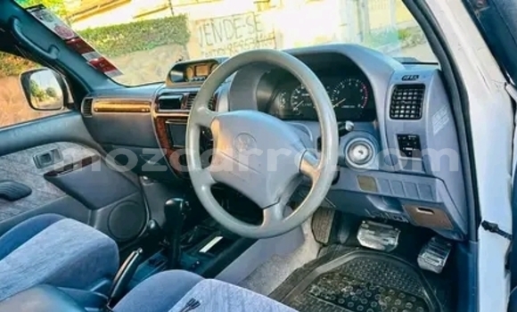 Tenga Tsaru Toyota Land Cruiser Prado Chena Mota in Maputo in Maputo Tenga Tsaru Toyota Land Cruiser Prado Chena Mota in Maputo in Maputo