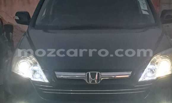 Tenga Tsaru Honda CR-V Nhema Mota in Maputo in Maputo Tenga Tsaru Honda CR-V Nhema Mota in Maputo in Maputo