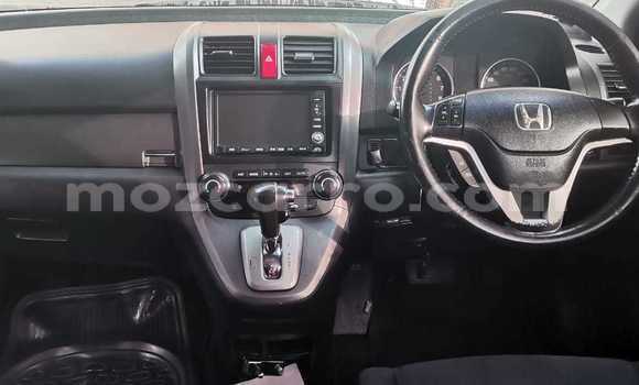 Tenga Tsaru Honda CR-V Nhema Mota in Maputo in Maputo Tenga Tsaru Honda CR-V Nhema Mota in Maputo in Maputo