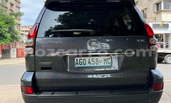 Tenga Tsaru Toyota Land Cruiser Prado Chena Mota in Maputo in Maputo Tenga Tsaru Toyota Land Cruiser Prado Chena Mota in Maputo in Maputo