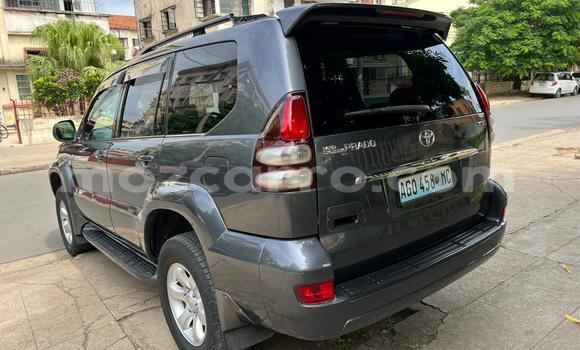 Tenga Tsaru Toyota Land Cruiser Prado Chena Mota in Maputo in Maputo Tenga Tsaru Toyota Land Cruiser Prado Chena Mota in Maputo in Maputo