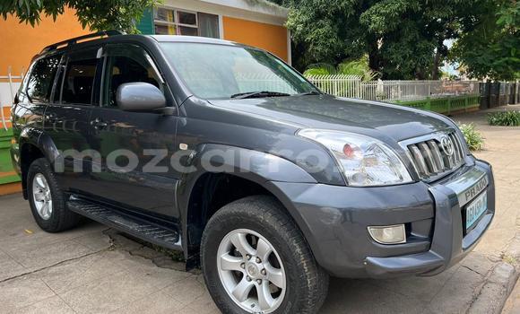 Tenga Tsaru Toyota Land Cruiser Prado Chena Mota in Maputo in Maputo Tenga Tsaru Toyota Land Cruiser Prado Chena Mota in Maputo in Maputo