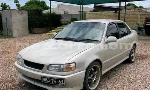 Tenga Tsaru Toyota Chaser Zvimwe Mota in Chicualacuala in Gaza