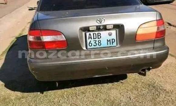 Tenga Tsaru Toyota 2000GT Zvimwe Mota in Beautiful vista in Maputo Tenga Tsaru Toyota 2000GT Zvimwe Mota in Beautiful vista in Maputo