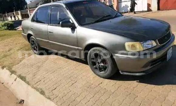 Tenga Tsaru Toyota 2000GT Zvimwe Mota in Beautiful vista in Maputo Tenga Tsaru Toyota 2000GT Zvimwe Mota in Beautiful vista in Maputo