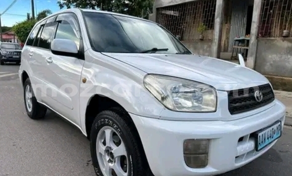 Tenga Tsaru Toyota RAV4 Chena Mota in Maputo in Maputo Tenga Tsaru Toyota RAV4 Chena Mota in Maputo in Maputo