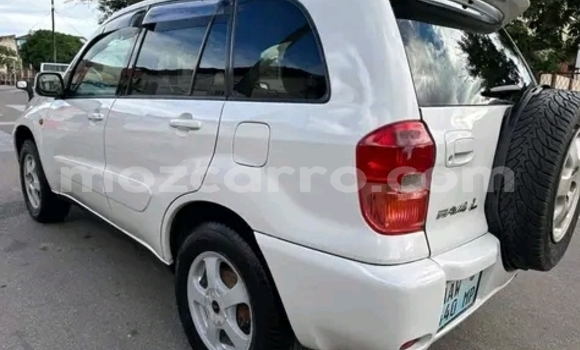Tenga Tsaru Toyota RAV4 Chena Mota in Maputo in Maputo Tenga Tsaru Toyota RAV4 Chena Mota in Maputo in Maputo