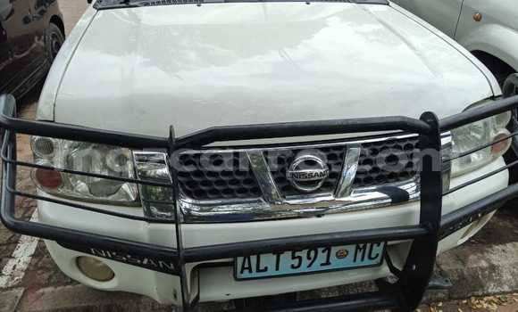 Tenga Tsaru Nissan Hardbody Chena Mota in Maputo in Maputo Tenga Tsaru Nissan Hardbody Chena Mota in Maputo in Maputo