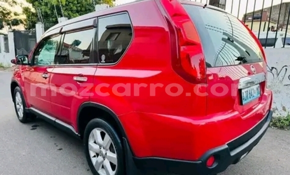 Buy Used Nissan X-Trail Red Car in Maputo in Maputo Buy Used Nissan X-Trail Red Car in Maputo in Maputo