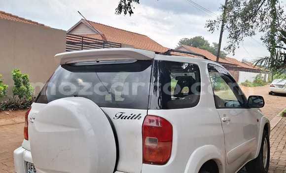 Buy Used Toyota RAV4 White Car in Maputo in Maputo Buy Used Toyota RAV4 White Car in Maputo in Maputo