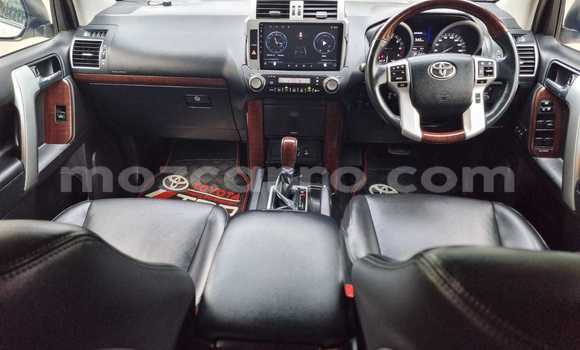Buy New Toyota Land Cruiser Prado White Car in Maputo in Maputo Buy New Toyota Land Cruiser Prado White Car in Maputo in Maputo