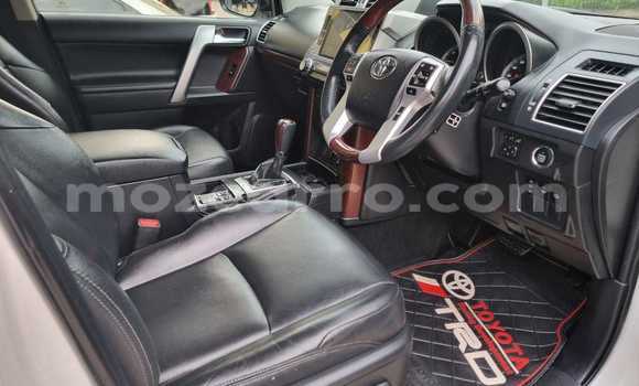 Buy New Toyota Land Cruiser Prado White Car in Maputo in Maputo Buy New Toyota Land Cruiser Prado White Car in Maputo in Maputo