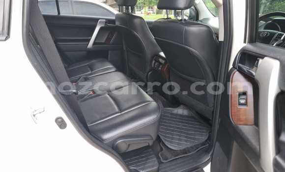 Buy New Toyota Land Cruiser Prado White Car in Maputo in Maputo Buy New Toyota Land Cruiser Prado White Car in Maputo in Maputo