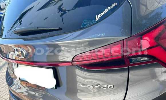 Buy Used Hyundai Santa Fe Other Car in Maputo in Maputo Buy Used Hyundai Santa Fe Other Car in Maputo in Maputo