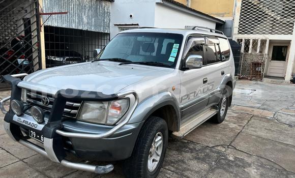 Tenga Tsaru Toyota Land Cruiser Prado Zvimwe Mota in Maputo in Maputo Tenga Tsaru Toyota Land Cruiser Prado Zvimwe Mota in Maputo in Maputo