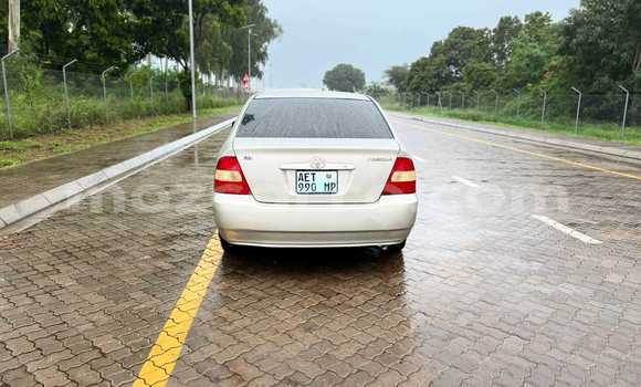 Comprar Usado Toyota Corolla Castanho Carro em Maputo em Maputo Comprar Usado Toyota Corolla Castanho Carro em Maputo em Maputo