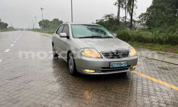 Comprar Usado Toyota Corolla Castanho Carro em Maputo em Maputo Comprar Usado Toyota Corolla Castanho Carro em Maputo em Maputo