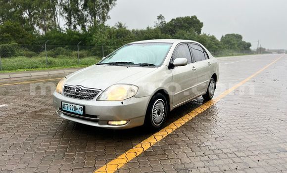 Comprar Usado Toyota Corolla Castanho Carro em Maputo em Maputo Comprar Usado Toyota Corolla Castanho Carro em Maputo em Maputo