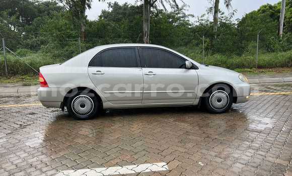 Comprar Usado Toyota Corolla Castanho Carro em Maputo em Maputo Comprar Usado Toyota Corolla Castanho Carro em Maputo em Maputo