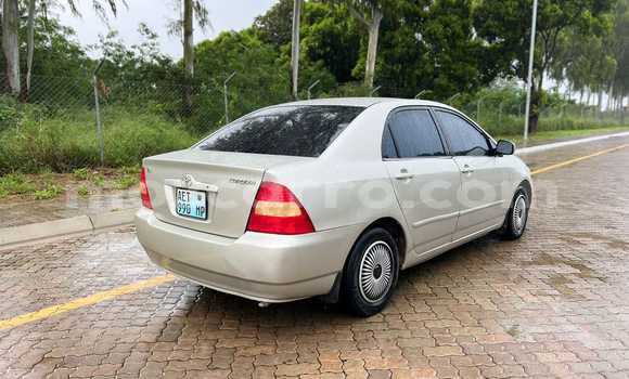 Comprar Usado Toyota Corolla Castanho Carro em Maputo em Maputo Comprar Usado Toyota Corolla Castanho Carro em Maputo em Maputo
