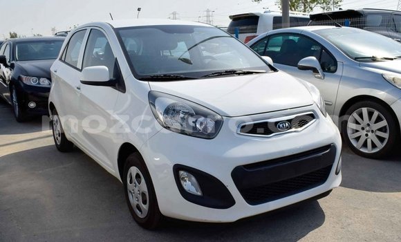 Comprar Importar Kia Picanto Branco Carro em Import - Dubai em Cabo Delgado Comprar Importar Kia Picanto Branco Carro em Import - Dubai em Cabo Delgado