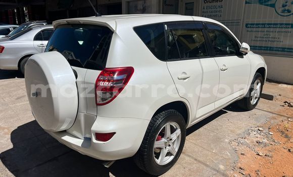 Tenga Tsaru Toyota RAV4 Chena Mota in Maputo in Maputo Tenga Tsaru Toyota RAV4 Chena Mota in Maputo in Maputo