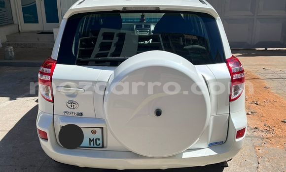 Tenga Tsaru Toyota RAV4 Chena Mota in Maputo in Maputo Tenga Tsaru Toyota RAV4 Chena Mota in Maputo in Maputo